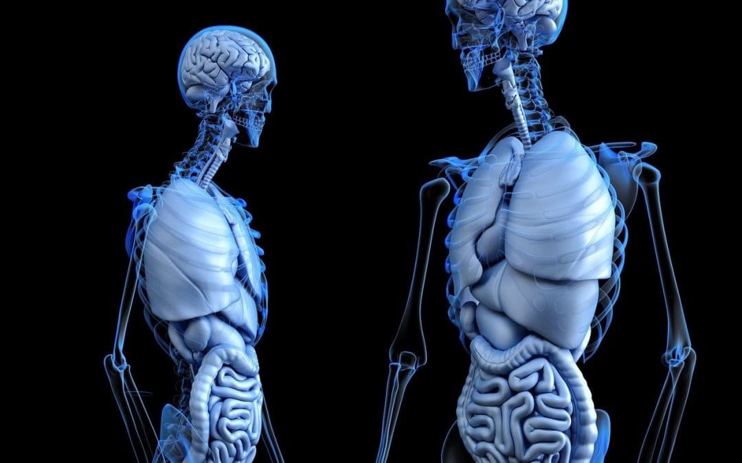 L’impression 3D au service de la chirurgie